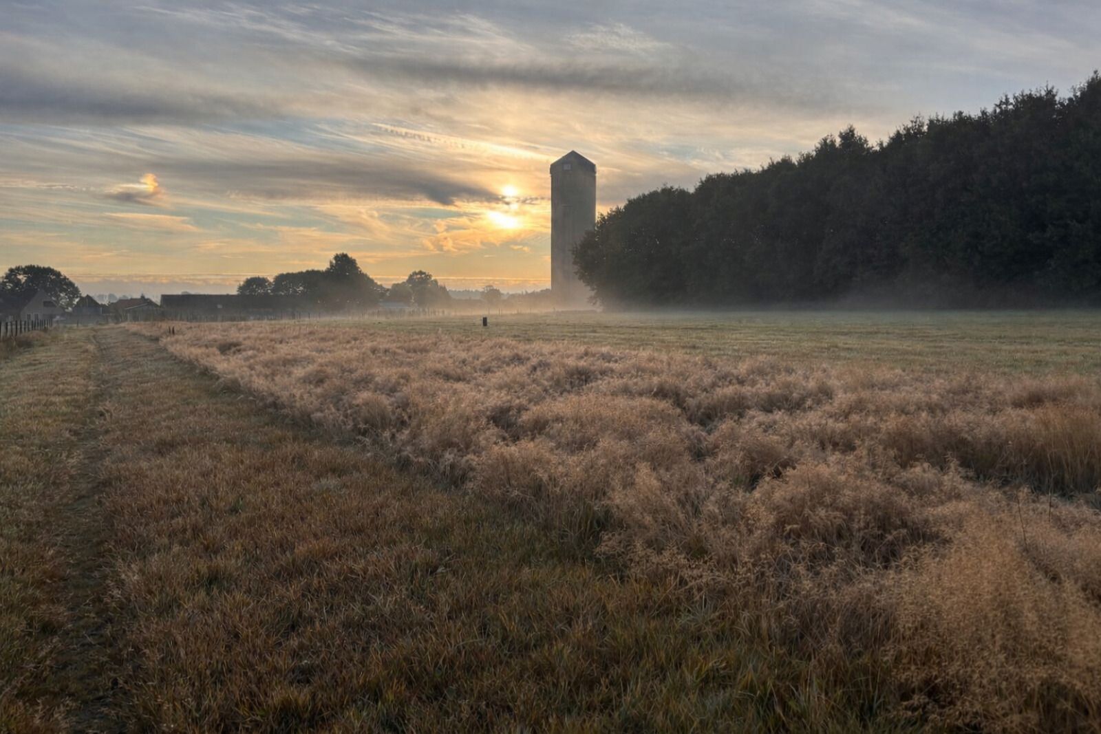 Unterkunft 551719 - Ferienhaus Noordwest Overijssel - OV787