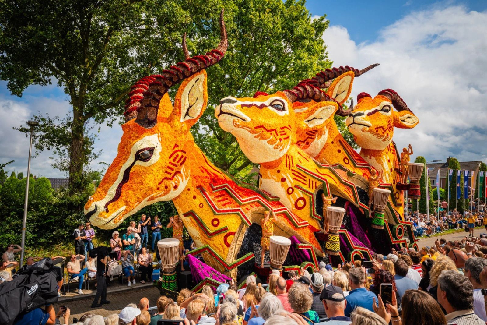 Unterkunft 551719 - Ferienhaus Noordwest Overijssel - OV787