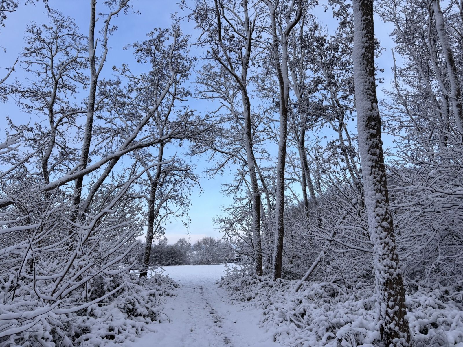 Unterkunft 551719 - Ferienhaus Noordwest Overijssel - OV787
