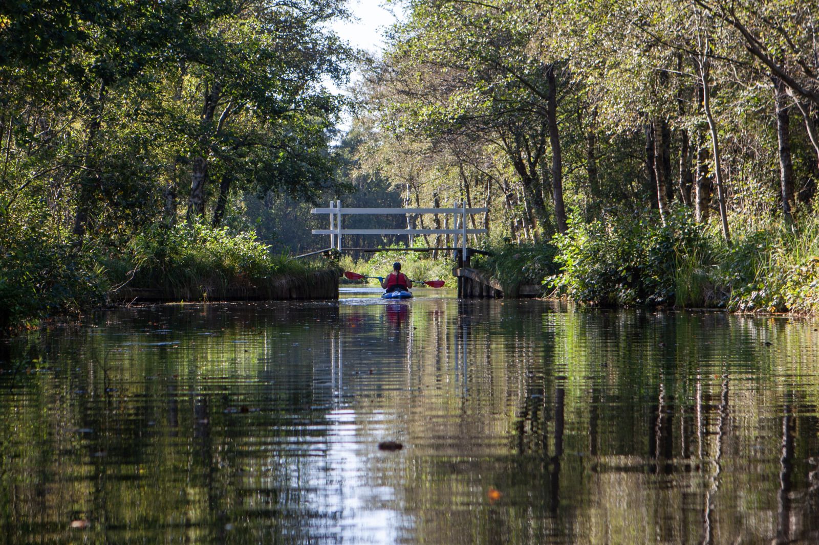 Unterkunft 551907 - Ferienhaus Noordwest Overijssel - OV735