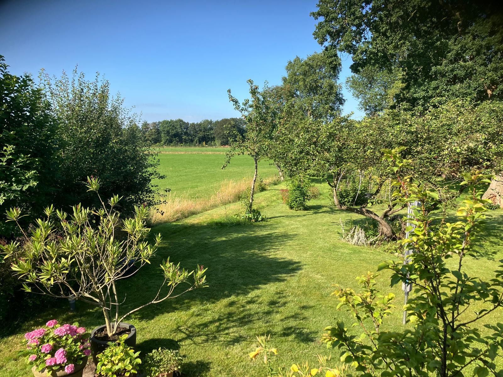 Unterkunft 551907 - Ferienhaus Noordwest Overijssel - OV735