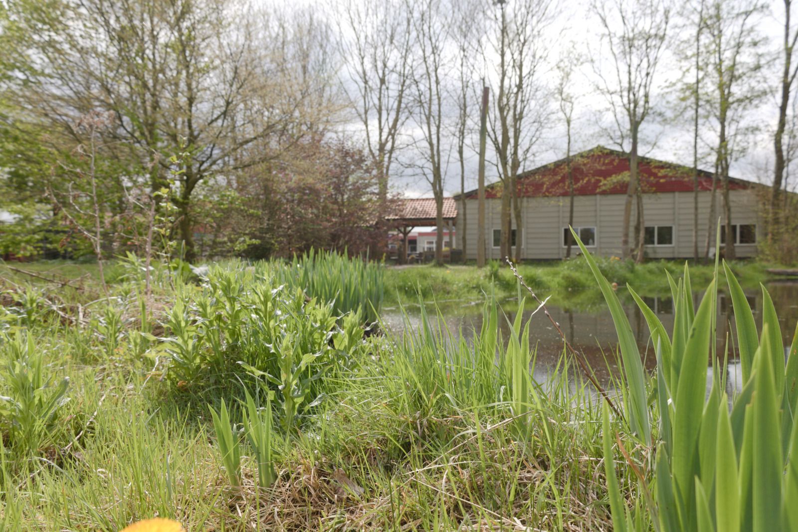 Wood-fired oven at OV669 vacation home in Blokzijl, perfect for pizza in Overijssel.