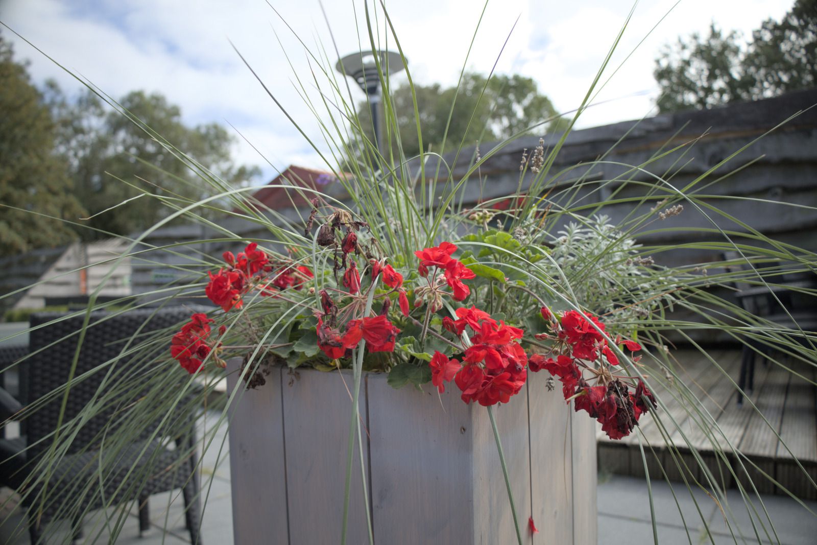 Plattegrond van OV668 vakantiehuis in Blokzijl, ideaal voor groepen in Overijssel.