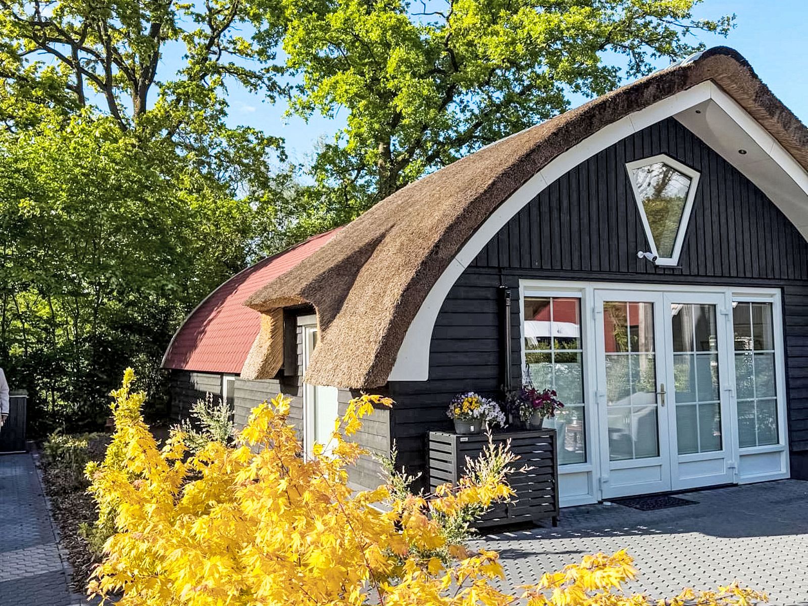 Unterkunft 552701 - Ferienhaus Noordwest Overijssel - Vakantiehuis Romantische Boscottage met Privacy