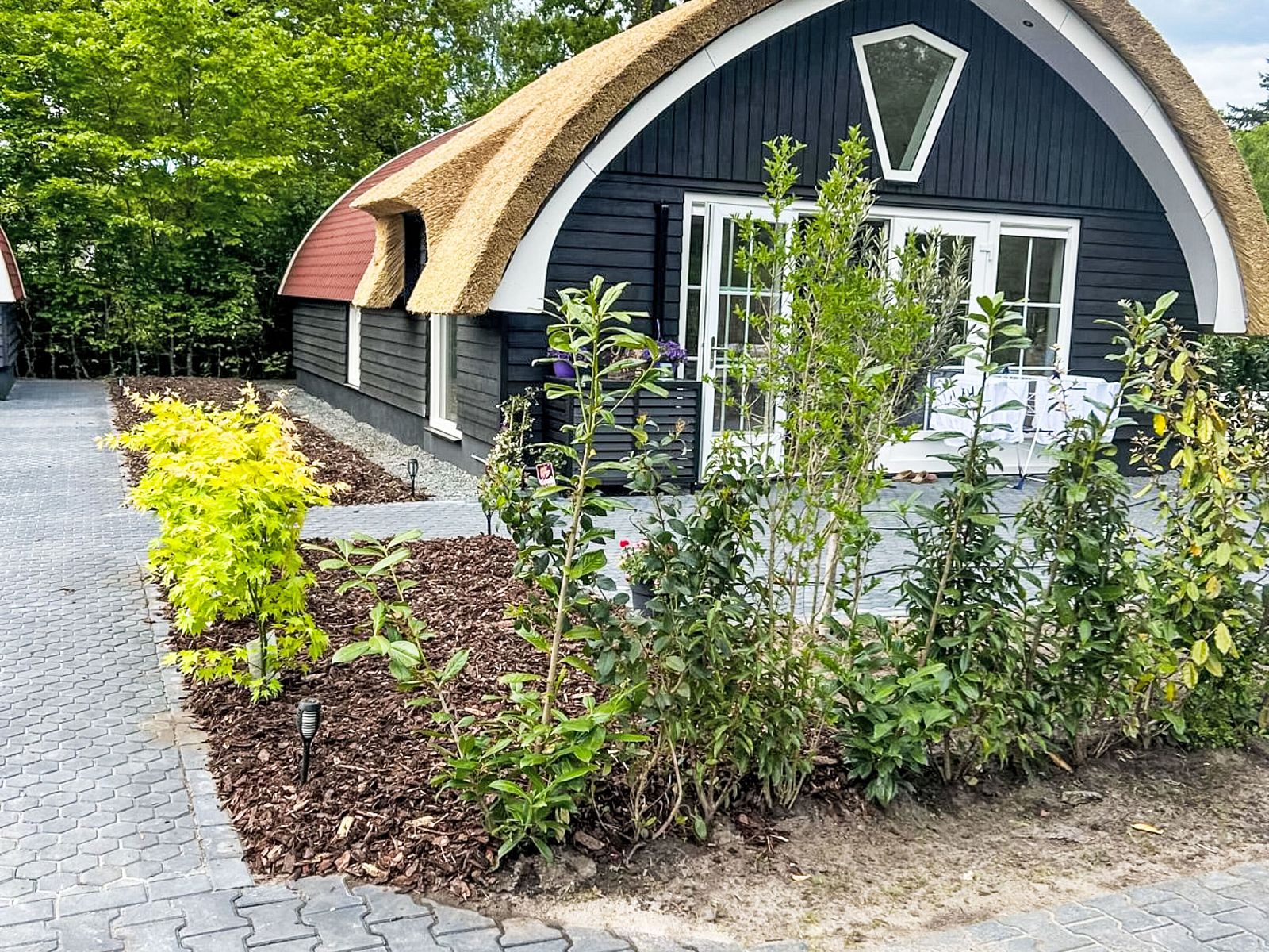 Unterkunft 552701 - Ferienhaus Noordwest Overijssel - Vakantiehuis Romantische Boscottage met Privacy