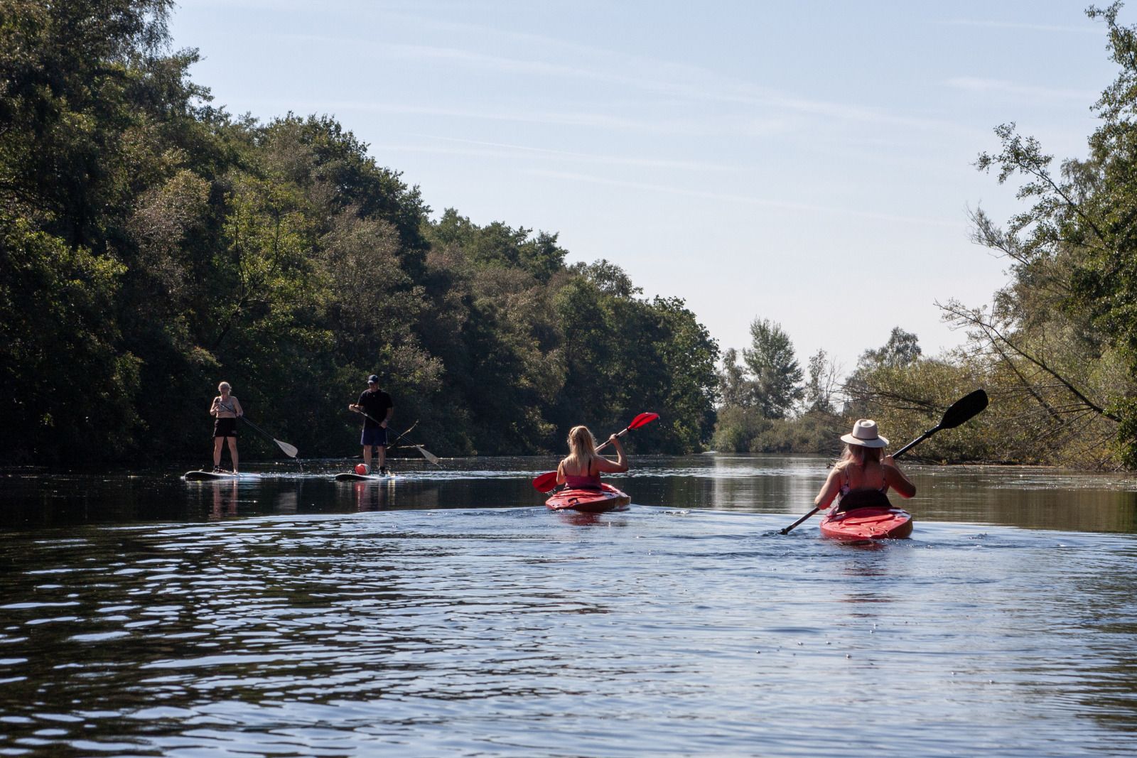 Verblijf 552804 - Vakantiewoning Noordwest Overijssel - OV770