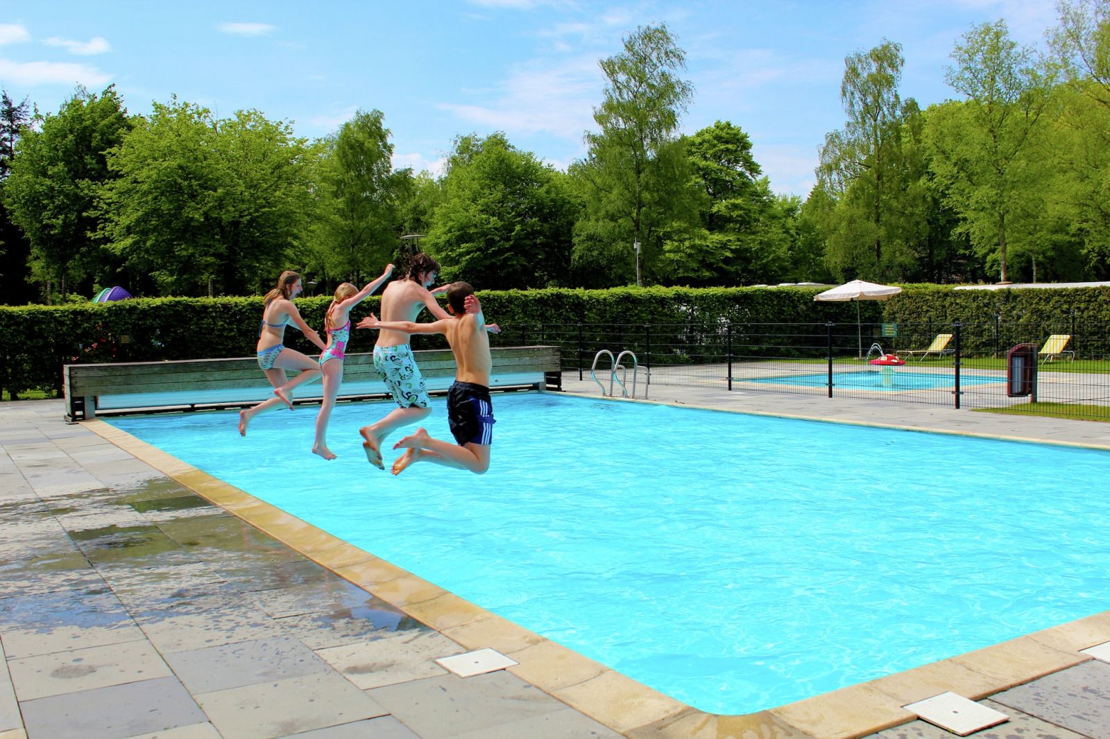 Guest house 552909 - Holiday property Noordwest Overijssel - «Residence De Eese 3»