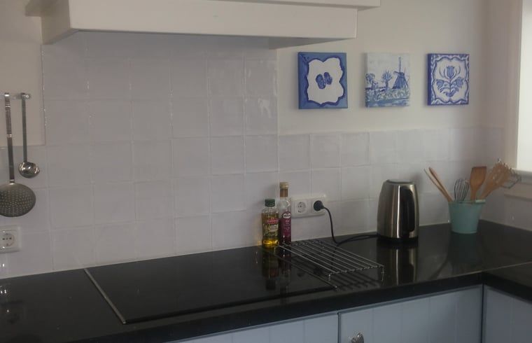 Detail van de keuken in Vakantiehuis in Hamingen, Noordwest Overijssel. Stijlvolle inrichting met blauwe accenten in deze vakantiewoning.