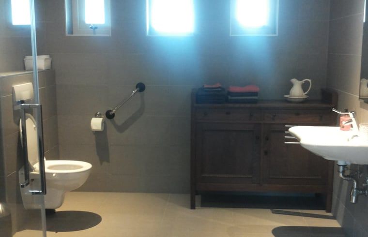 Ruime badkamer in Vakantiehuis in Hamingen, Noordwest Overijssel. Comfortabel en modern sanitair in deze vakantiewoning in Overijssel.