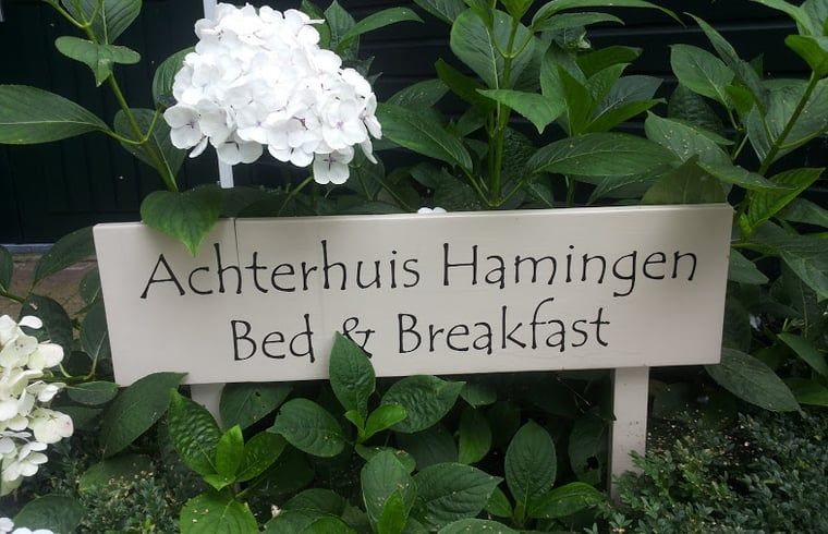 Verblijf 553101 - Vakantiewoning Noordwest Overijssel - Vakantiehuis in Hamingen