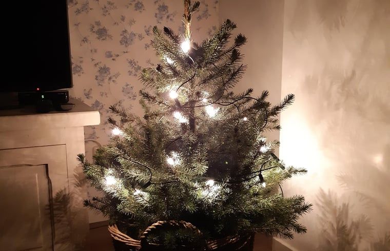 Verblijf 553101 - Vakantiewoning Noordwest Overijssel - Vakantiehuis in Hamingen