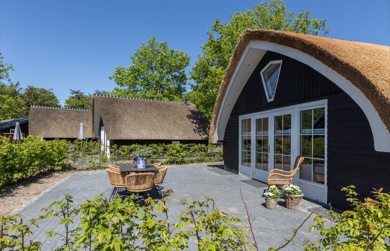 Ferienhaus in Baars mit grosser Terrasse und Reetdach, im gruenen Overijssel gelegen.