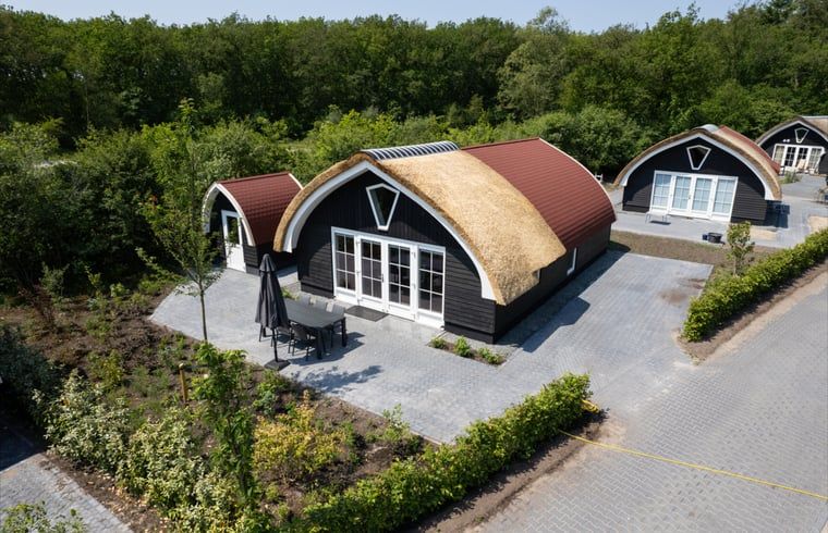 Luftaufnahme des Ferienhauses in Baars mit Reetdach, umgeben von gruener Natur in Overijssel.