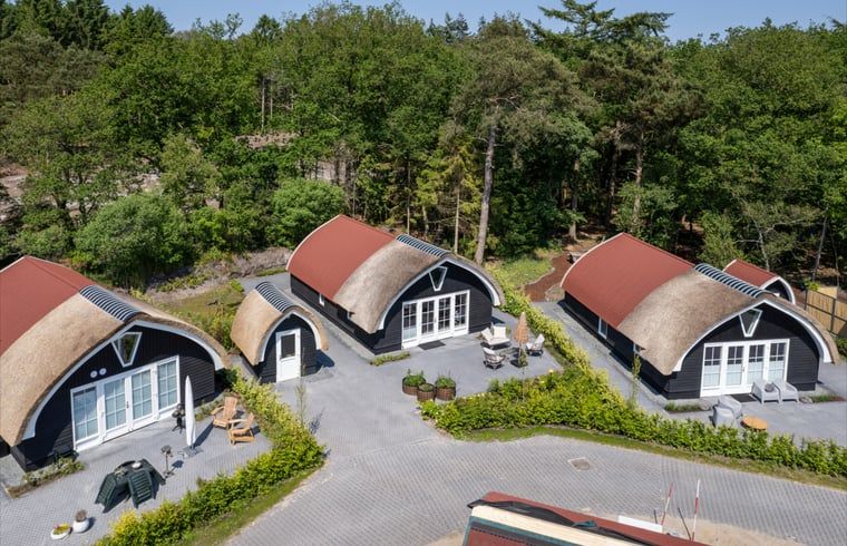 Gruene Umgebung des Ferienhauses in Baars, ideal fuer Naturliebhaber in Overijssel.
