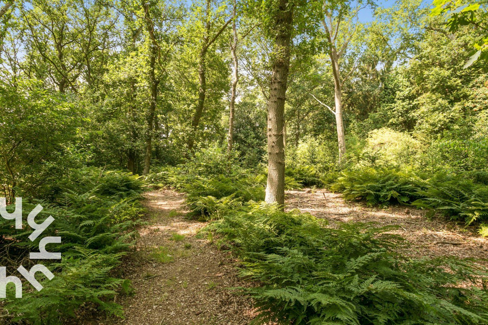 Discover the green surroundings of vacation home OV473 in Baars, Overijssel, surrounded by lush nature and serene forest landscapes.