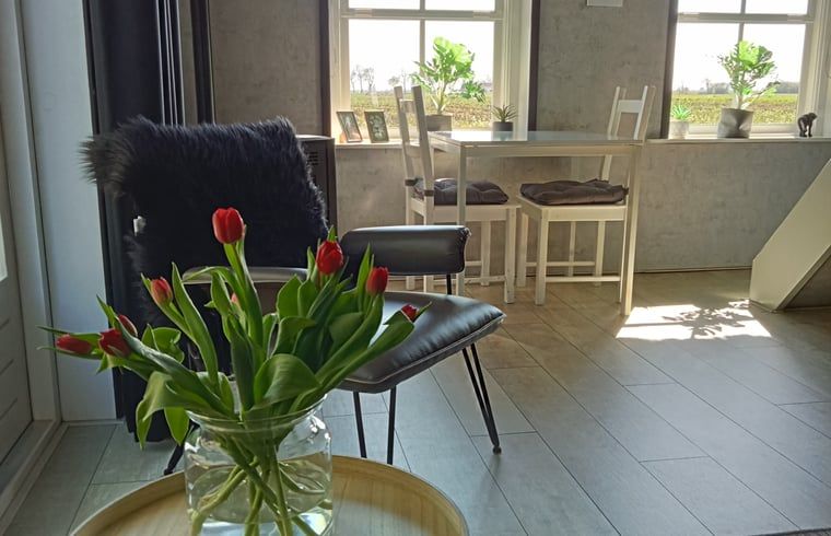 Gezellige binnenruimte van Vakantiehuisje in Staphorst met uitzicht op de natuur van Overijssel.