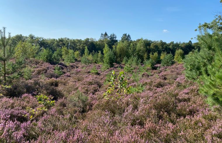 Verblijf 553313 - Vakantiewoning Noordwest Overijssel - Vakantiehuisje in Staphorst