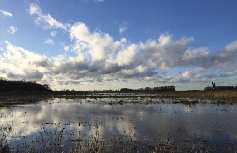 Vast landscape with water near Holiday home in Zalk, a nature experience in Northwest Overijssel.