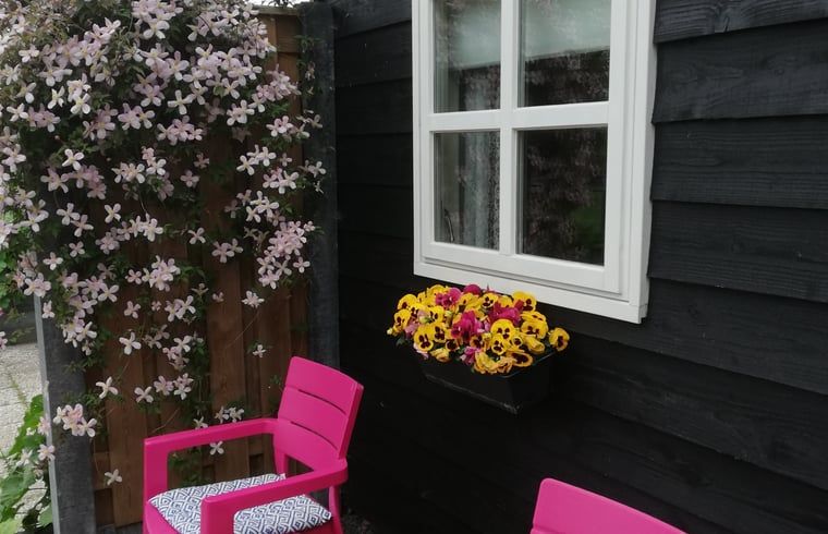 Guest house 553406 - Holiday property Noordwest Overijssel - Vakantiehuisje in Zalk