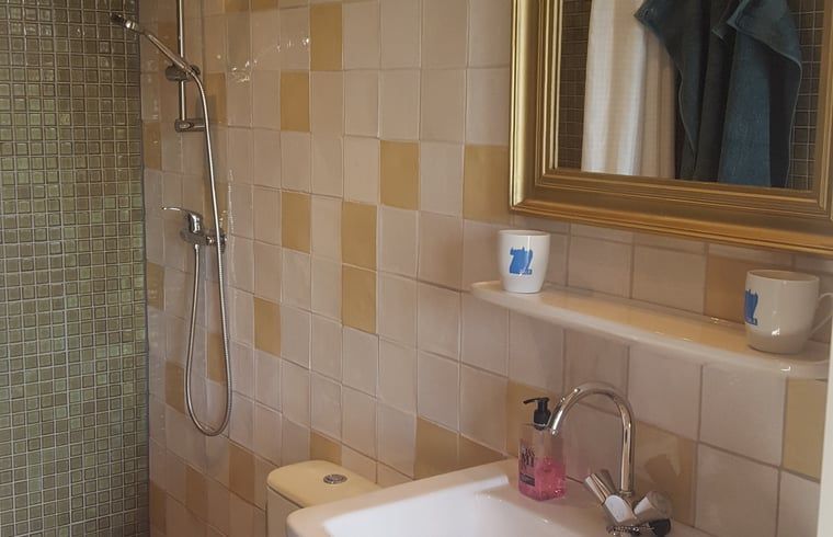 Guest house 553406 - Holiday property Noordwest Overijssel - Vakantiehuisje in Zalk