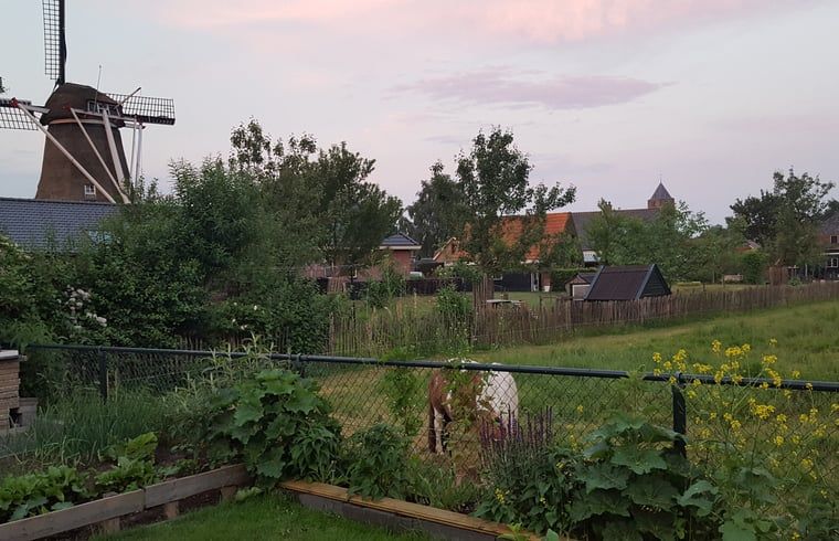 Guest house 553406 - Holiday property Noordwest Overijssel - Vakantiehuisje in Zalk