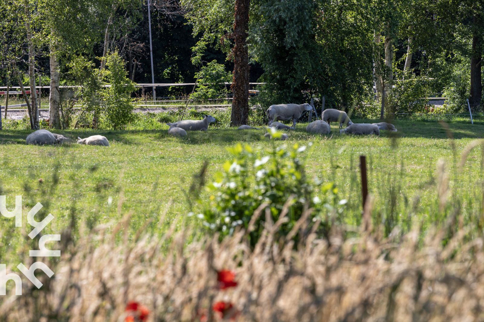 Minimalistische slaapkamer in OV517 vakantiehuis in Zuidveen, met houten details en kunstwerk.