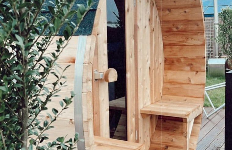 Picture 13