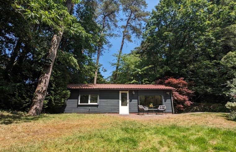 Vakantiehuis in Soest, omgeven door bomen in Utrecht noord, perfect voor een rustige vakantie.