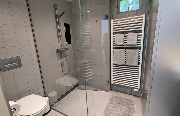 Douche en toilet in Vakantiehuis in Soest, Utrecht noord, bieden comfort en stijl.