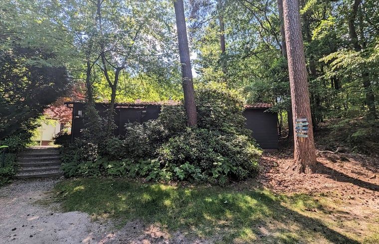 Ingang van Vakantiehuis in Soest, Utrecht noord, omgeven door bomen voor een serene sfeer.