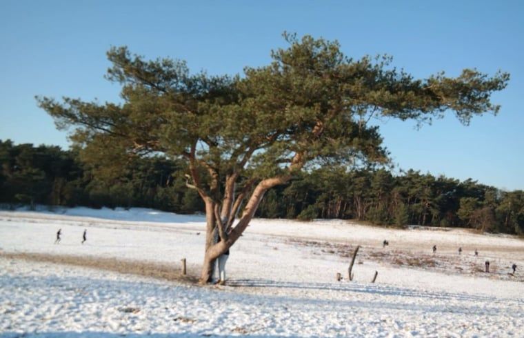 Winterlandschap nabij Vakantiehuis in Soest, Utrecht, met eenzame boom in de sneeuw.