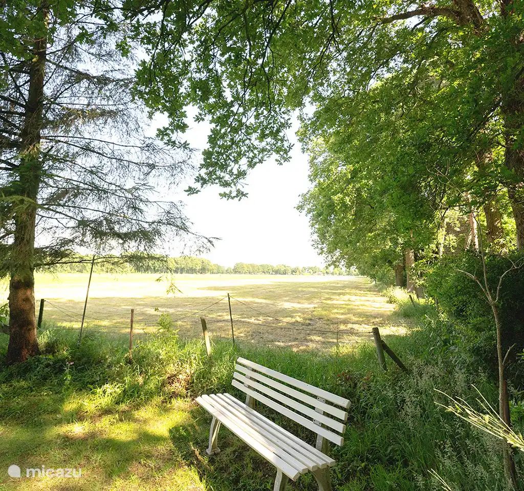 Guest house 560824 - Bungalow Utrecht noord - Romantisch Canadese Loghome