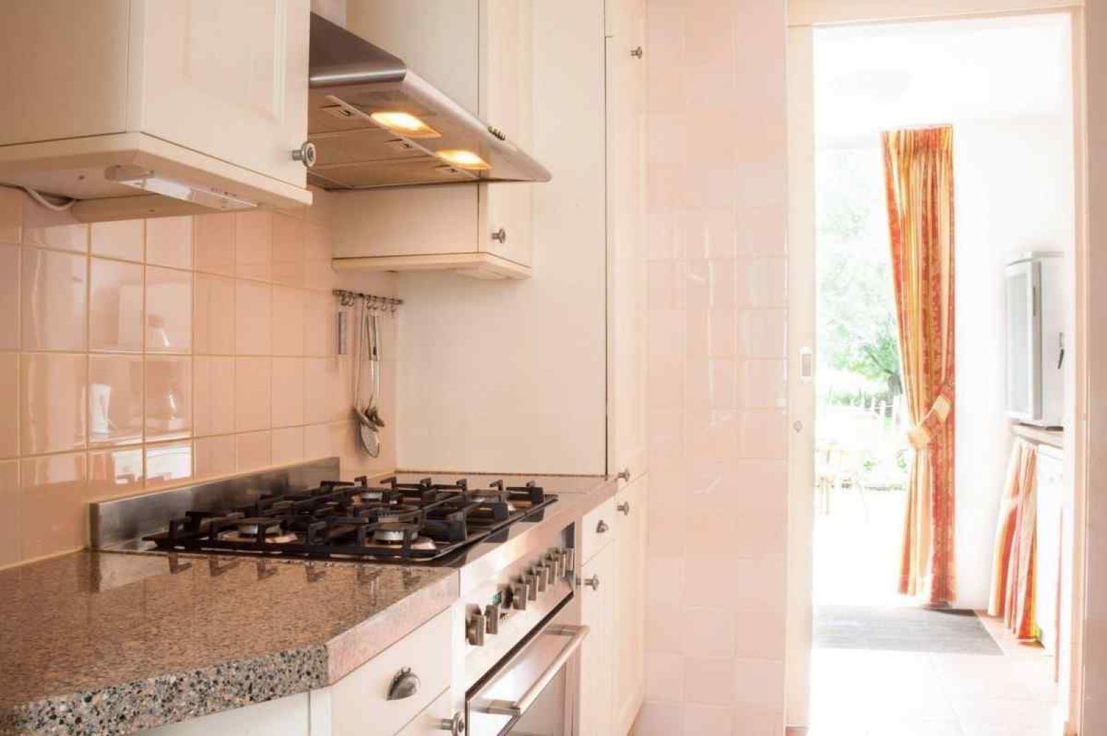 Blick auf Muehle und Wiese vom Ferienhaus UT020 in Vreeland, Utrecht