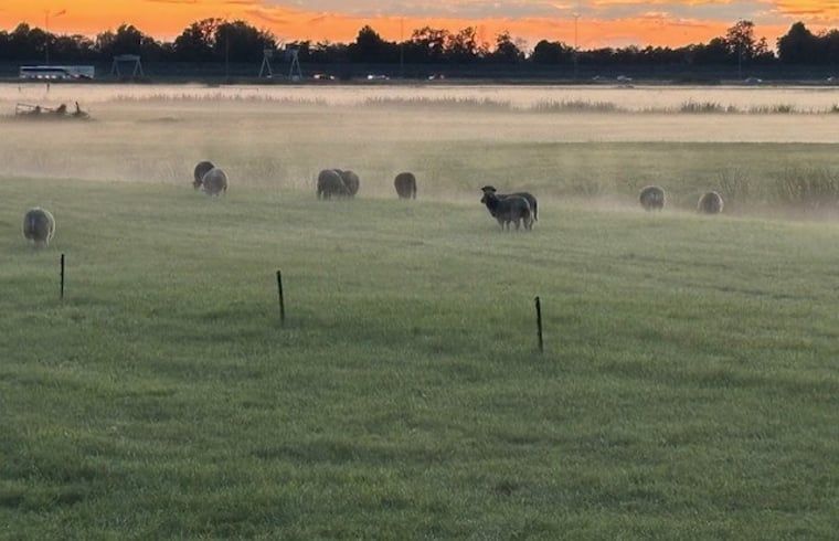 Image 17