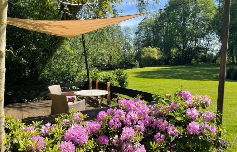Gezellig terras bij Huisje in Tienhoven, vakantiehuis in Tienhoven, Utrecht, met uitzicht op groene tuin en bloemen.