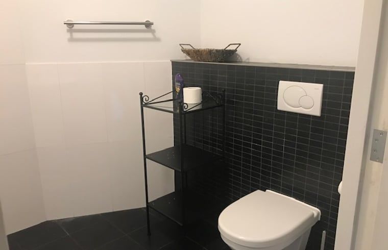 Stijlvolle badkamer van Huisje in Tienhoven, vakantiehuis in Tienhoven, Utrecht, met toilet en wastafel.
