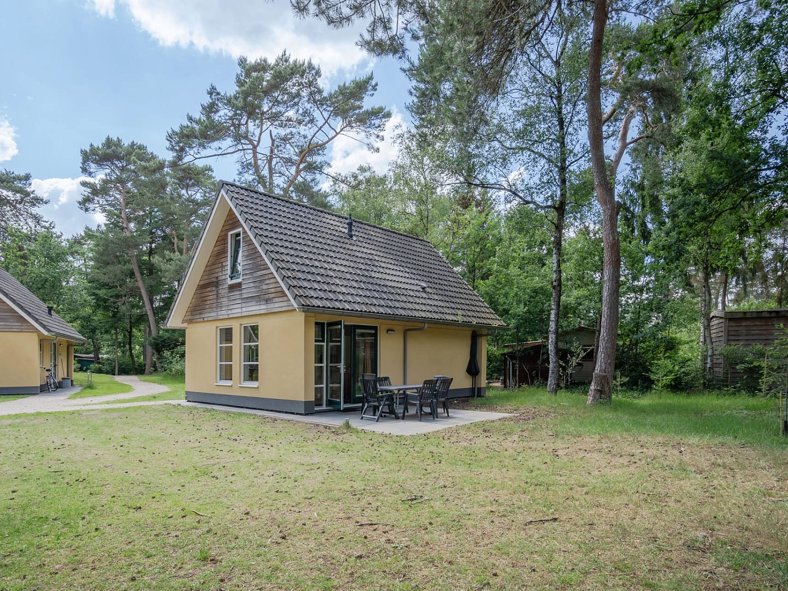 Vakantiewoning Beukenrode in Doorn, Utrechtse Heuvelrug, biedt een rustiek vakantiehuis met terras omringd door groene natuur.
