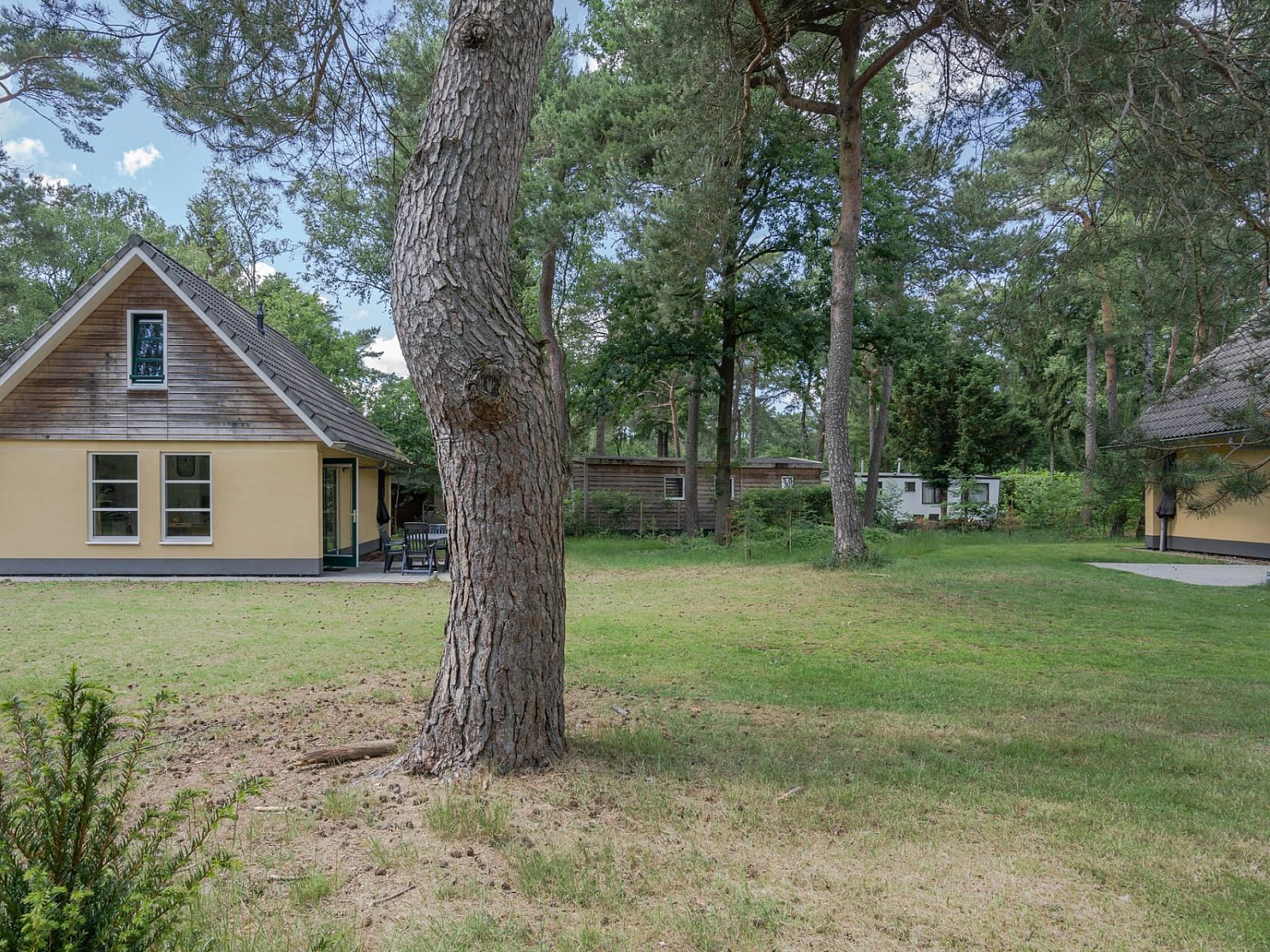 Vakantiewoning Beukenrode in Doorn, Utrechtse Heuvelrug biedt een serene omgeving met groene natuur rondom het vakantiehuis.