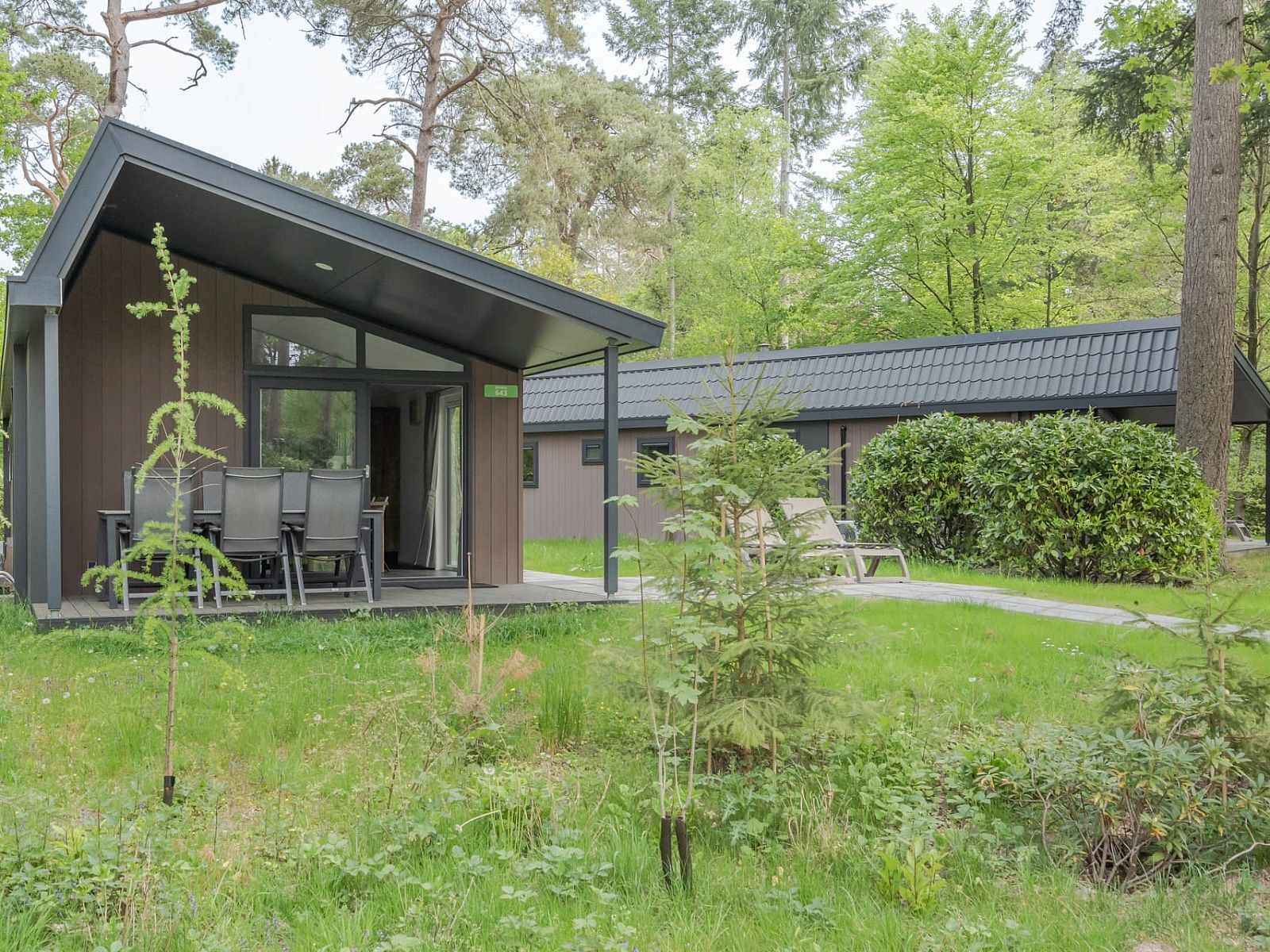 Guest house 570412 - Chalet Utrechtse Heuvelrug - Chalet Bornia