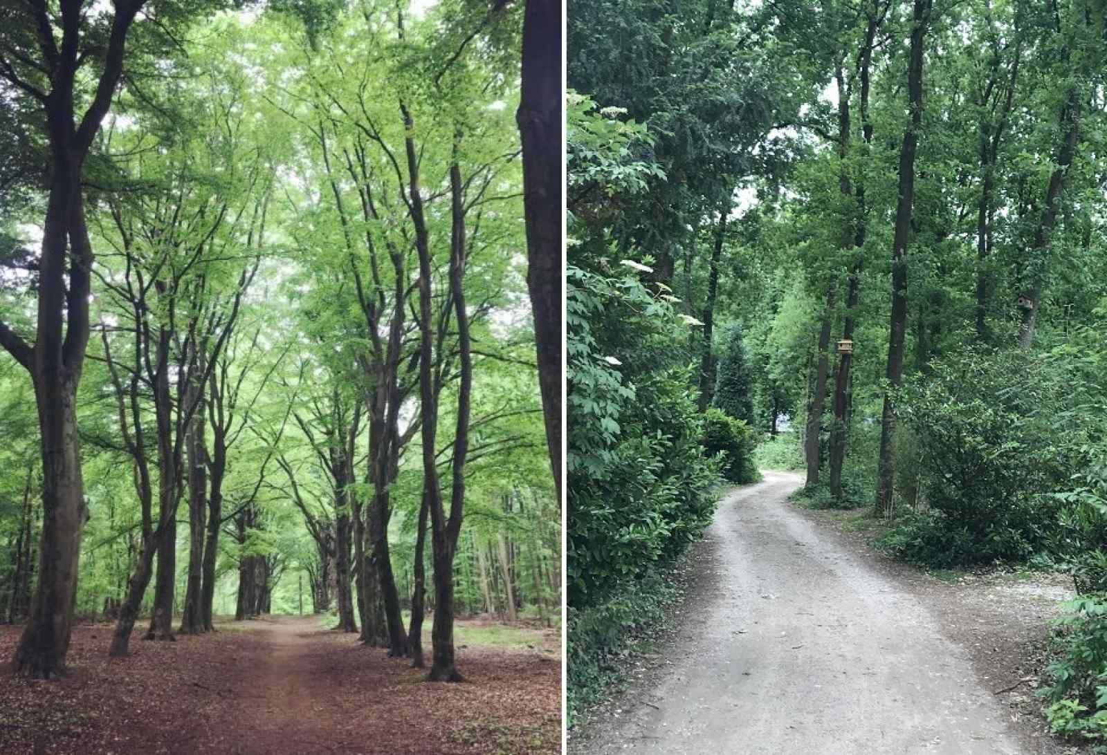 Unterkunft 570417 - Ferienhaus Utrechtse Heuvelrug - UT039