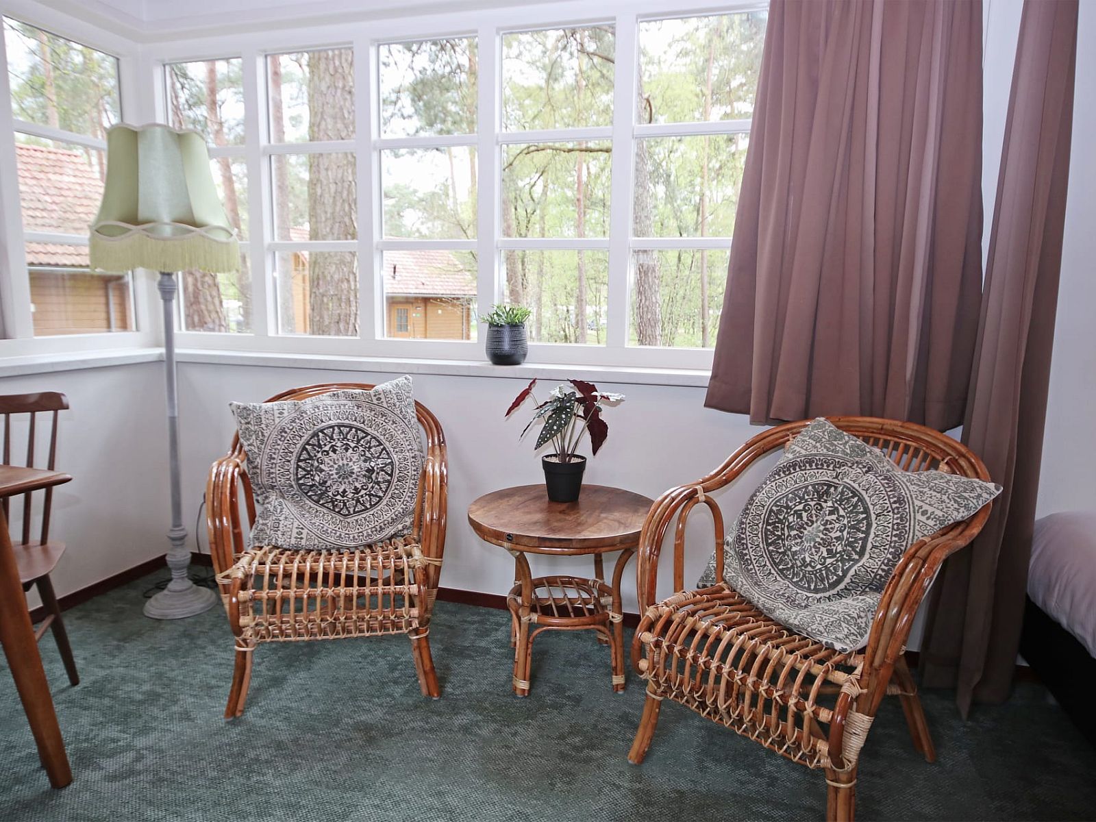 Gezellige zithoek in Bungalow Ficus, Doorn, Utrechtse Heuvelrug met uitzicht op de natuur.