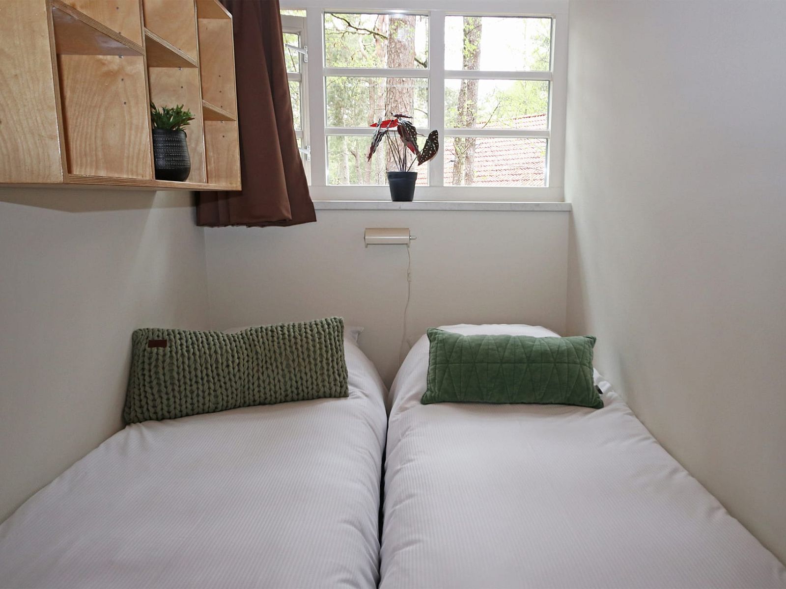 Slaapkamer in Bungalow Ficus, Doorn, Utrechtse Heuvelrug, met comfortabele bedden en uitzicht op bos.