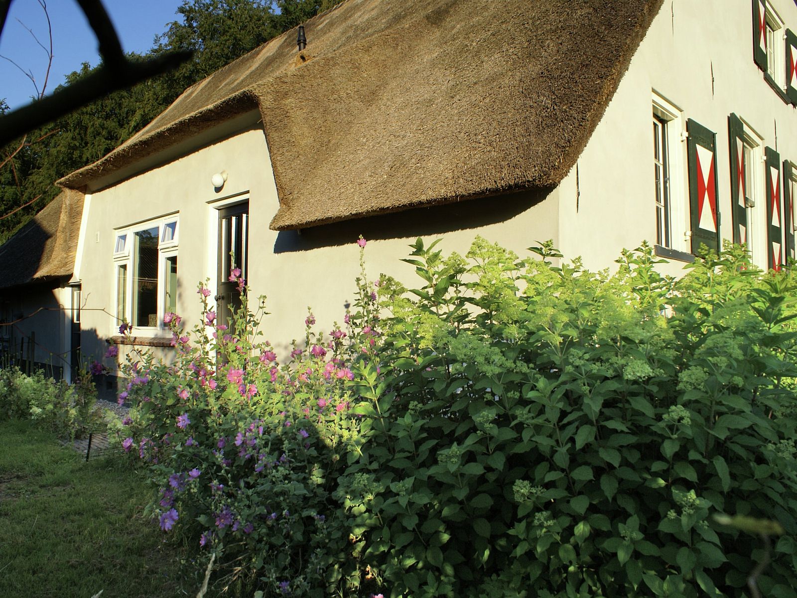 Unterkunft 570457 - Ferienhaus Utrechtse Heuvelrug - Hofstede Groot Blankenstein