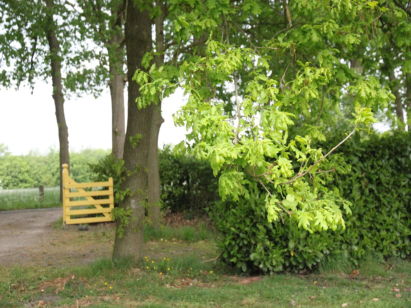 Unterkunft 570457 - Ferienhaus Utrechtse Heuvelrug - Hofstede Groot Blankenstein
