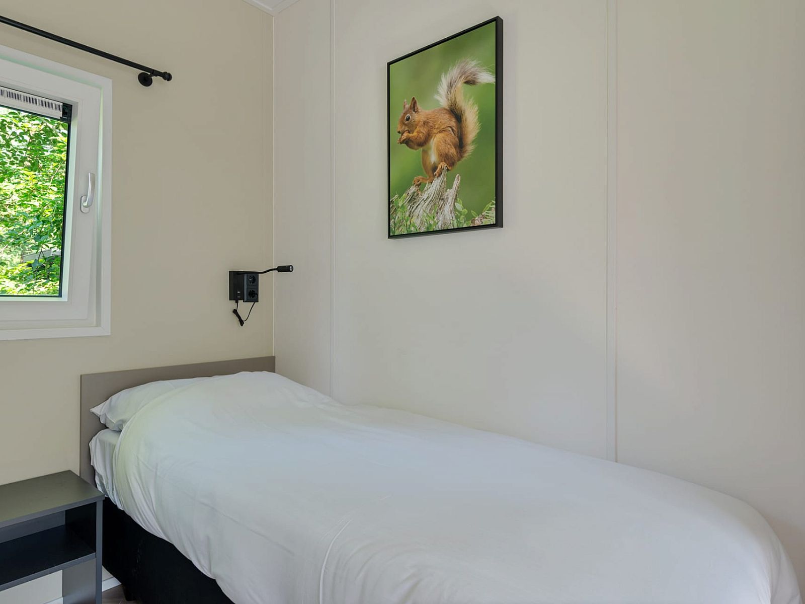 Comfortable single room in Bungalow Noordhout, Doorn, with forest view of the Utrecht Hill Ridge.