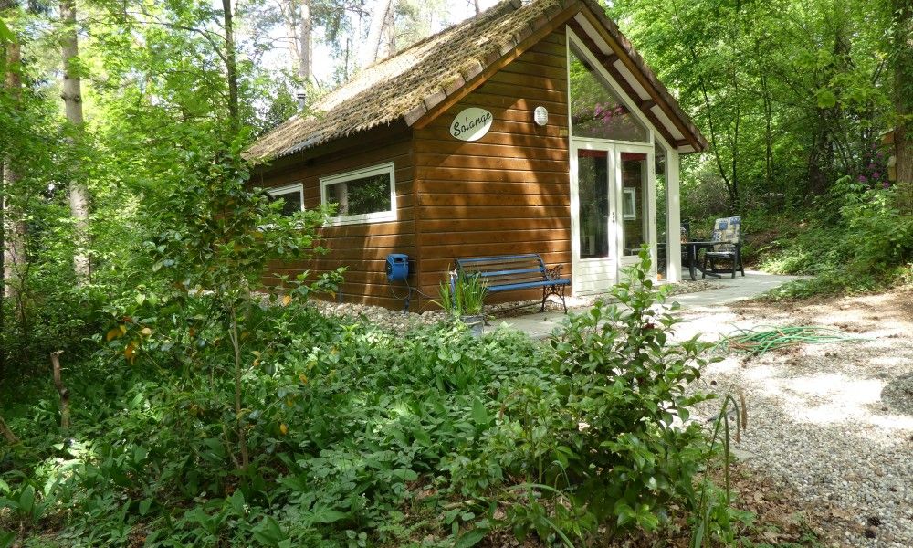 Guest house 570464 - Chalet Utrechtse Heuvelrug - Solange 