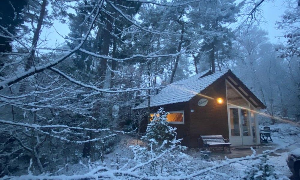 Guest house 570464 - Chalet Utrechtse Heuvelrug - Solange 