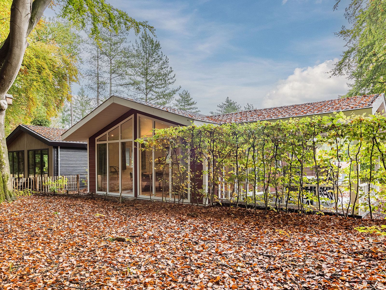 Verblijf 5707127 - Bungalow Utrechtse Heuvelrug - 6-persoons Lodge | 6B1