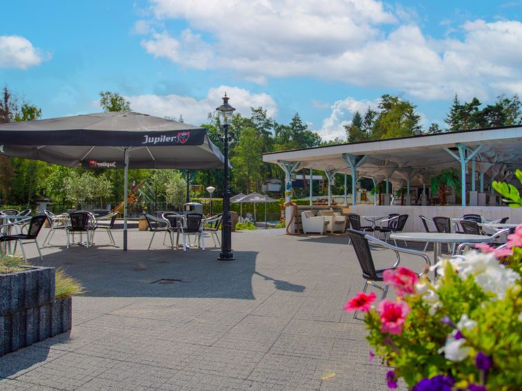 Buitenterras bij Vakantiehuis De Thijmse Berg in Rhenen, Utrechtse Heuvelrug, met gezellige zitgelegenheid.