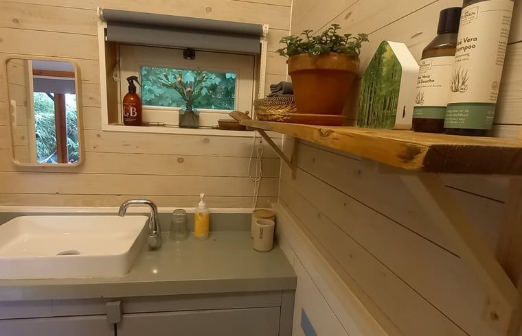 Unterkunft 570902 - Ferienhaus Utrechtse Heuvelrug - Vakantiehuisje in Driebergen-Rijsenburg